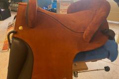 Zaldi-Alta-Escuela-EQUIscan-Bienestarcaballo-1