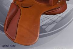 Zaldi-Alta-Escuela-EQUIscan-Bienestarcaballo-2