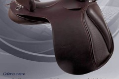 Zaldi-Alta-Escuela-EQUIscan-Bienestarcaballo-3