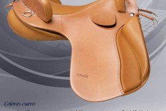 Zaldi-Alta-Escuela-EQUIscan-Bienestarcaballo-4