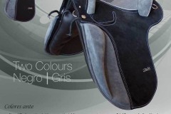 Zaldi-Alta-Escuela-EQUIscan-Bienestarcaballo-5