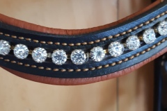 Zaldi-cabezada-Joya-negra-de-BIENESTARCABALLO-10