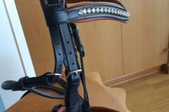 Zaldi-cabezada-Joya-negra-de-BIENESTARCABALLO-4