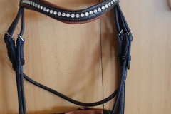 Zaldi-cabezada-Joya-negra-de-BIENESTARCABALLO-9