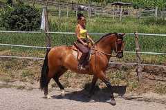 Zaldi-Ronda-Campera-a-medida-EQUIscan-de-BIENESTARCABALLO-1