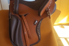 Zaldi-Campera-Ronda-a-medida-EQUIscan-de-BIENESTARCABALLO-3
