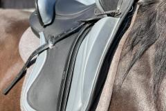 Zaldi-Camper-Ronda-negra-y-gris-a-medida-EQUIscan-de-BIENESTARCABALLO-1