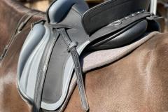 Zaldi-Camper-Ronda-negra-y-gris-a-medida-EQUIscan-de-BIENESTARCABALLO-2