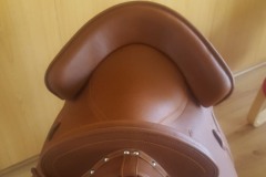Zaldi-Campera-Ronda-tostada-a-medida-EQUIscan-de-BIENESTARCABALLO-1