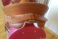 Zaldi-Campera-Ronda-tostada-a-medida-EQUIscan-de-BIENESTARCABALLO-2