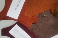 Colores-piel-ZALDI-de-BIENESTARCABALLO-1