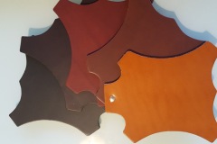 Colores-piel-ZALDI-de-BIENESTARCABALLO-3