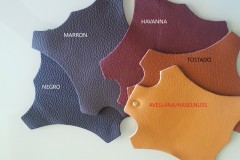 Colores-piel-ZALDI-de-BIENESTARCABALLO-4