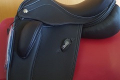 Zaldi-Drim-a-medida-EQUIscan-de-BIENESTARCABALLO-8