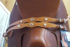 Zaldi-Drim-Lusitanus-tostada-a-medida-EQUIscan-de-BIENESTARCABALLO-4