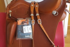 Zaldi-Drim-Lusitanus-tostada-a-medida-EQUIscan-de-BIENESTARCABALLO-5