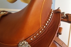 Zaldi-Drim-Lusitanus-tostada-a-medida-EQUIscan-de-BIENESTARCABALLO-6
