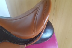 Zaldi-universal-Europa-2G-a-medida-EQUIscan-de-BIENESTARCABALLO-2