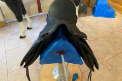 Zaldi-Kent-2G-Pausche-unter-Sattelblatt-ZALDIONLINE-2