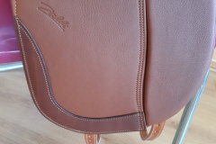 Zaldi-Kent-2G-doma-a-medida-EQUIscan-de-BIENESTARCABALLO-2
