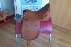 Zaldi-Kent-2G-doma-a-medida-EQUIscan-de-BIENESTARCABALLO-3