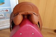 Zaldi-Kent-2G-doma-a-medida-EQUIscan-de-BIENESTARCABALLO-5