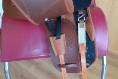Zaldi-Kent-2G-doma-a-medida-EQUIscan-de-BIENESTARCABALLO-7