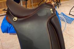 Zaldi-Lusitanus-braun-mit-tostado-von-ZALDIONLINE-1