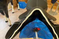 Zaldi-New-Kent-negra-con-blanco-y-remaches-a-medida-EQUIscan-de-BIENESTARCABALLO-2