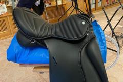 Zaldi-Police-Royal-Dressur-schwarz-1
