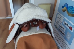 Zaldi-Relvas-a-medida-EQUIscan-de-BIENESTARCABALLO-10