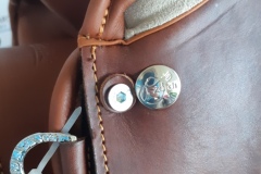 Zaldi-Relvas-a-medida-EQUIscan-de-BIENESTARCABALLO-15