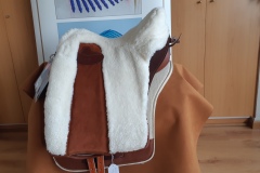 Zaldi-Relvas-a-medida-EQUIscan-de-BIENESTARCABALLO-20