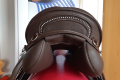 Zaldi-Royal-Police-doma-a-medida-EQUIscan-de-BIENESTARCABALLO-5