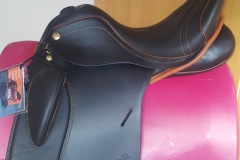 Zaldi-Royal-doma-a-medida-EQUIscan-de-BIENESTARCABALLO-4
