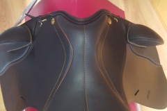 Zaldi-Royal-doma-a-medida-EQUIscan-de-BIENESTARCABALLO-6