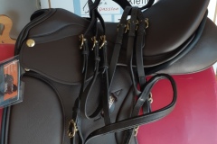 Zaldi-San-Jorge-doma-marron-y-negra-a-medida-EQUIscan-de-BIENESTARCABALLO-5