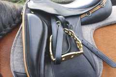 Zaldi-San-Jorge-doma-negra-con-oro-a-medida-EQUIscan-de-BIENESTARCABALLO-1