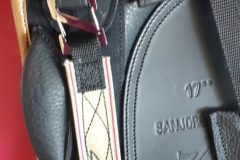 Zaldi-San-Jorge-doma-negra-con-oro-a-medida-EQUIscan-de-BIENESTARCABALLO-2