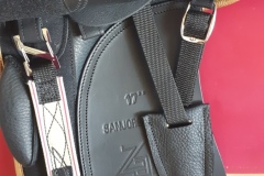 Zaldi-San-Jorge-doma-negra-con-oro-a-medida-EQUIscan-de-BIENESTARCABALLO-4