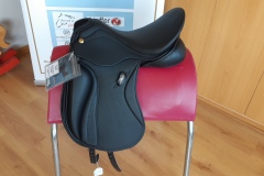 Zaldi-San-Jorge-doma-negra-a-medida-EQUIscan-de-BIENESTARCABALLO-4