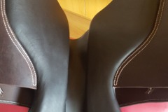 Zaldi-Star-2G-salto-marron-a-medida-EQUIscan-de-BIENESTARCABALLO-4