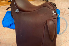 Zaldi-Drim-Lusitanus-marron-a-medida-EQUIscan-de-bienestarcaballo