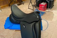 Zaldi-Drim-mas-baja-de-BIENESTARCABALLO