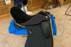 Zaldi-Kira-Klass-negra-con-oro-a-medida-de-BIENESTARCABALLO-1