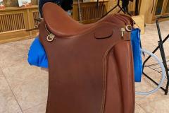 Zaldi-Lusitanus-tostada-a-medida-de-BIENESTARCABALLO-2