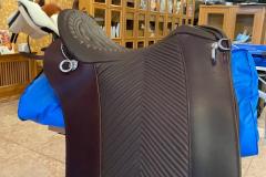 Zaldi-Relvas-a-medida-EQUIscan-de-bienestarcaballo-1
